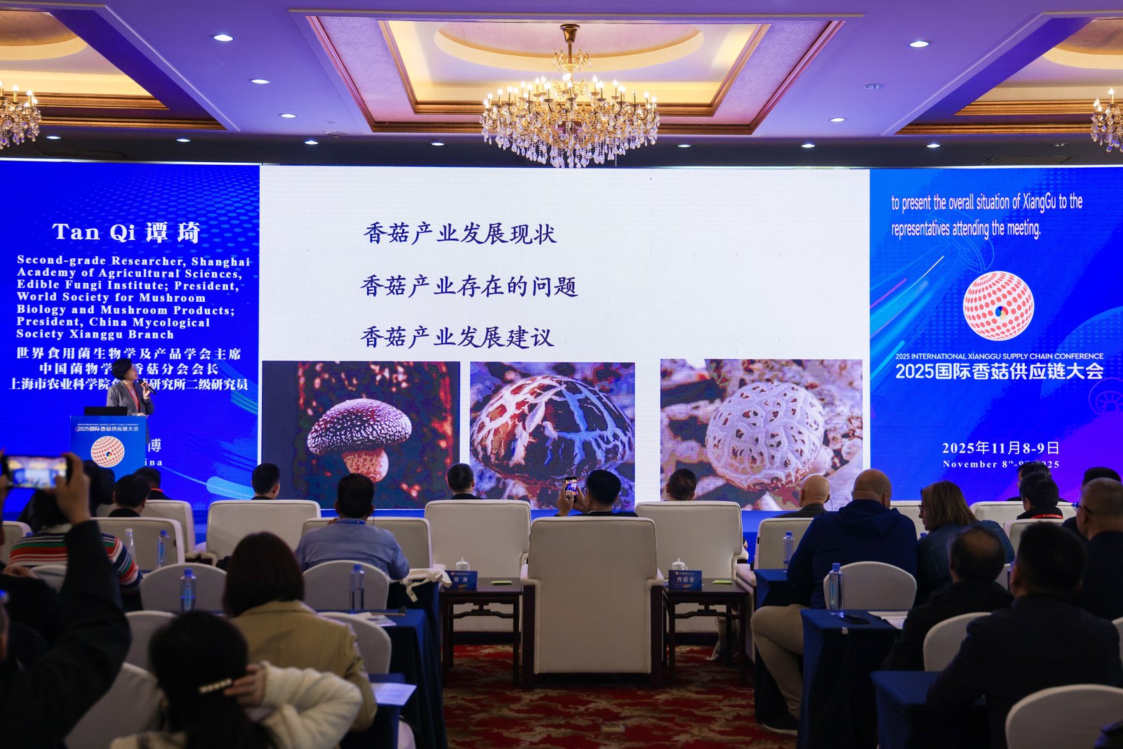 七河、キノコを媒体に世界をつなぐ：2025年国際シイタケサプライチェーン会議が山東省淄博市で盛大に開幕12.jpg 