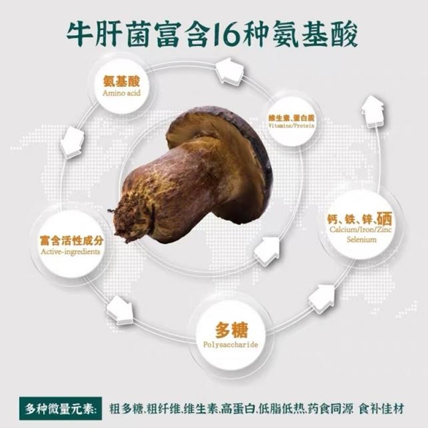 黒牛肝菌の「高級食材」の新しい哲学02.png